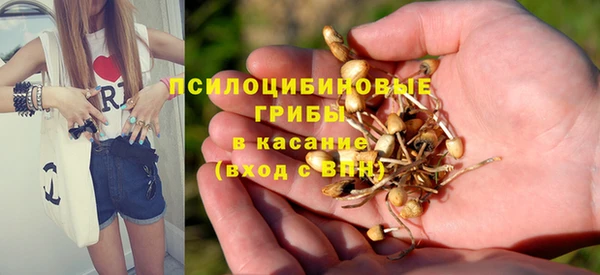 герыч Алексеевка