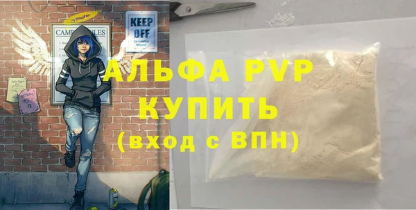 стафф Арсеньев