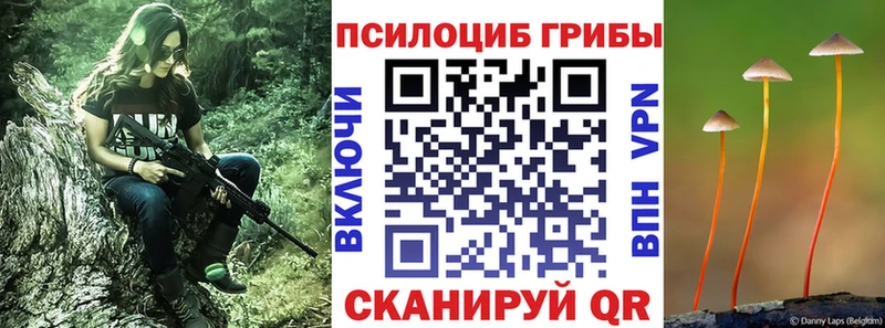 Купить где  Пересвет  Галлюциногенные грибы GOLDEN TEACHER 